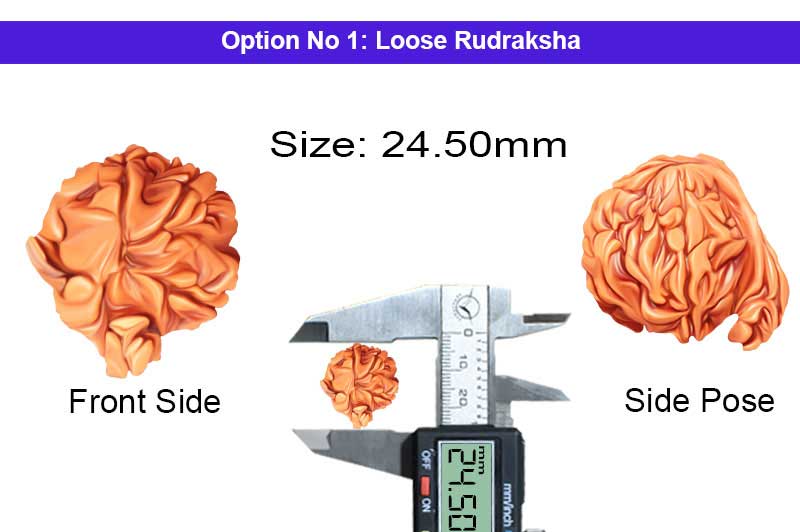 4 Mukhi Brahma Natraj Siddhi Vinayak Ganesh Rudraksha-RD-GNS-18-1