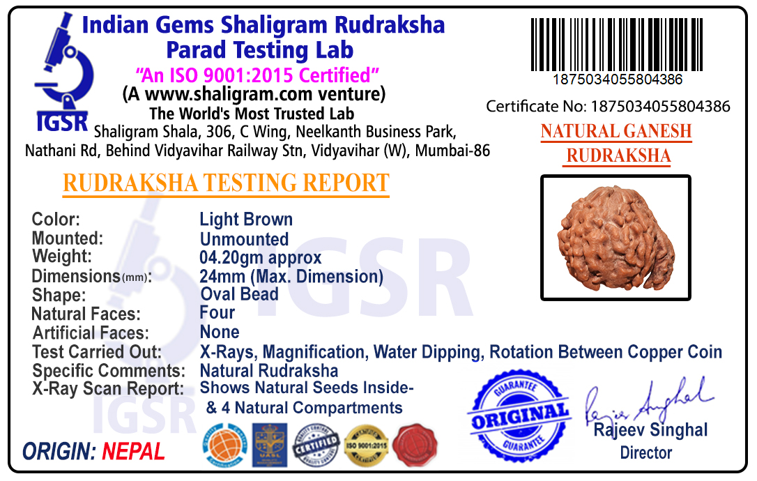 product-img/RD-GNS-18-1875034055804386.jpg