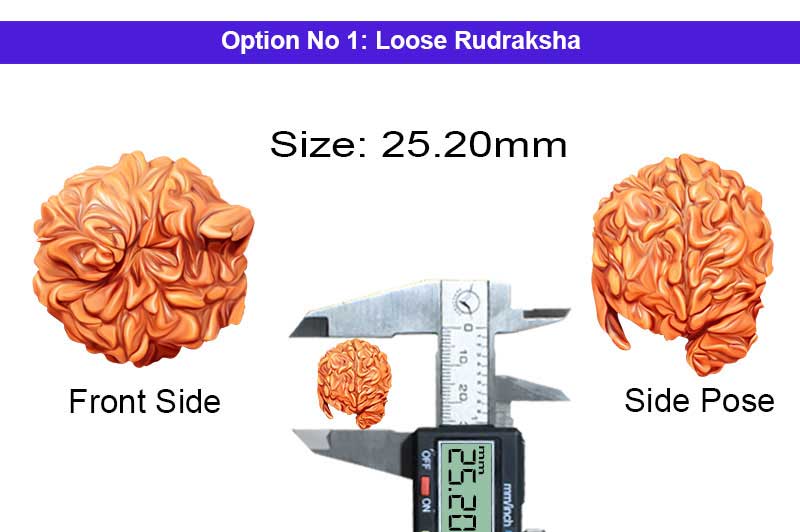 5 Mukhi Mahamritunjaya Savar Maha Ganesha Rudraksha-RD-GNS-19-1