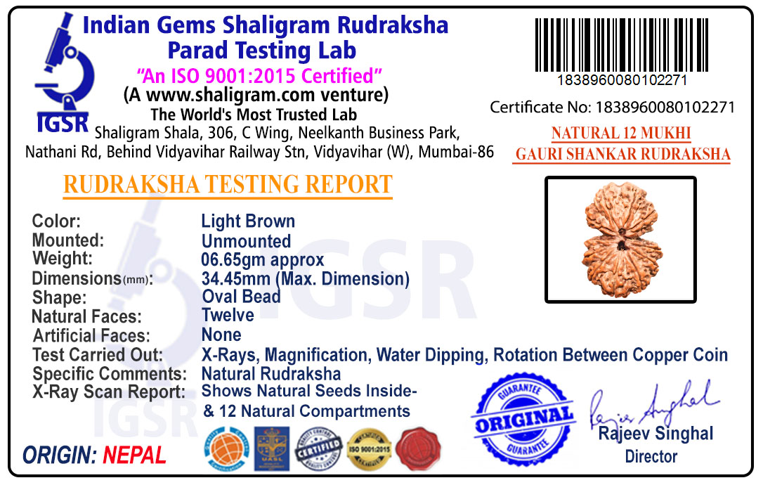 product-img/RD-GS-A-C-08-1838960080102271.jpg