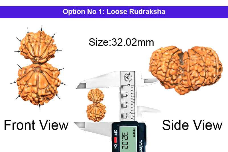 13 Mukhi Gauri Shankar Ganesha Nepali Rudraksha-RD-GSG-A-B-08-1