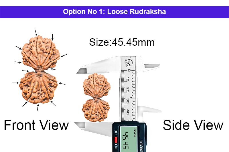 12 Mukhi Gauri Shankar Ganesha Rudraksha-RD-GSG-C-B-05-1