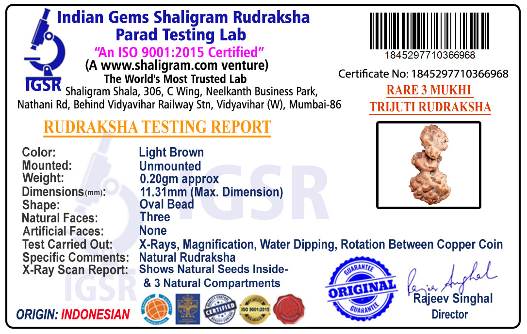 product-img/RD-TRIJ-I-02-1845297710366968.jpg