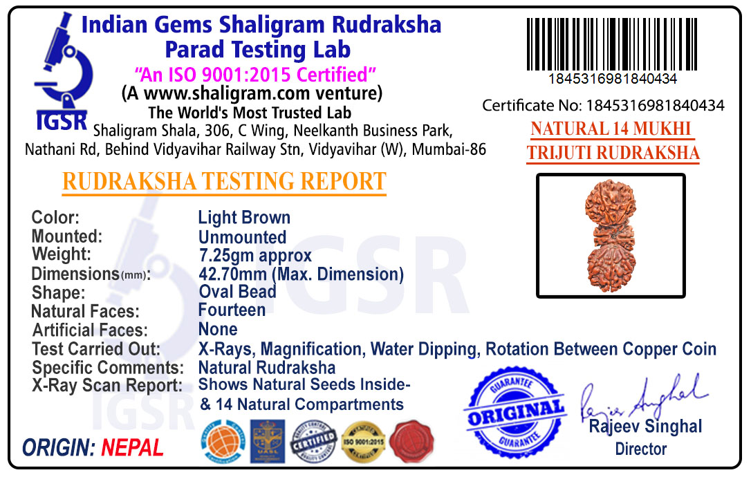product-img/RD-TRJ-B-03-1845316981840434.jpg