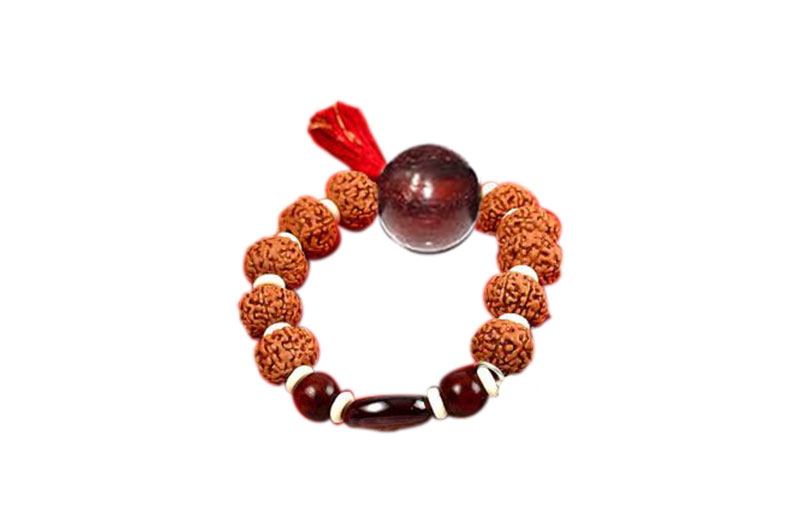 9 mukhi Rudraksha with Gomed and Red Sandalwood Bracelet-RGJ244-1