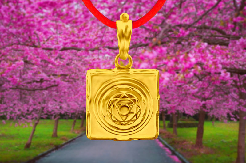 Pratyangira 3D Yantra Locket in Panchdhatu-YL3D14-P-1