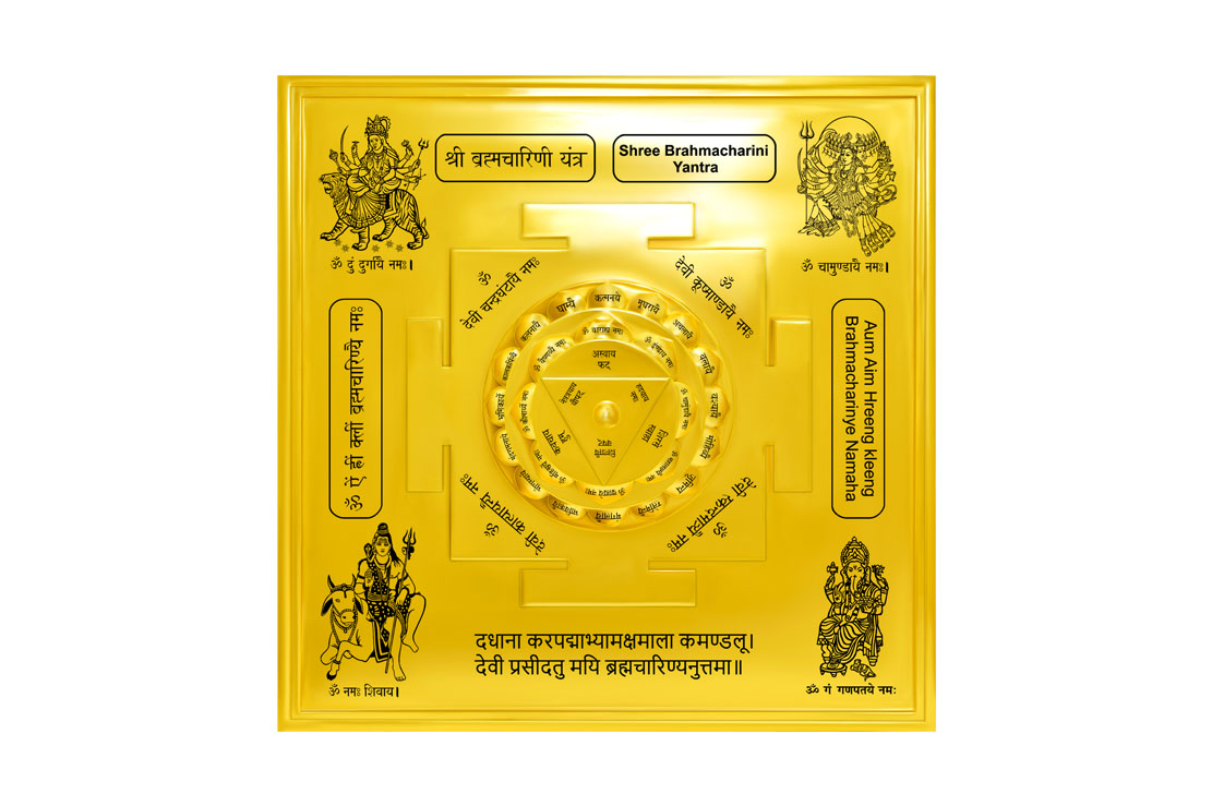 3D Siddh Meru Brahmacharini Yantra on Double Lotus In Gold Plating-YTDLBHC103-1