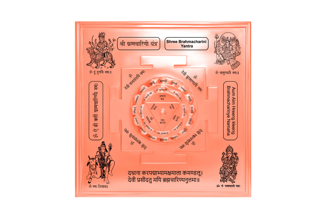 3D Siddh Meru Brahmacharini Yantra on Double Lotus In Copper-YTDLBHC104-1
