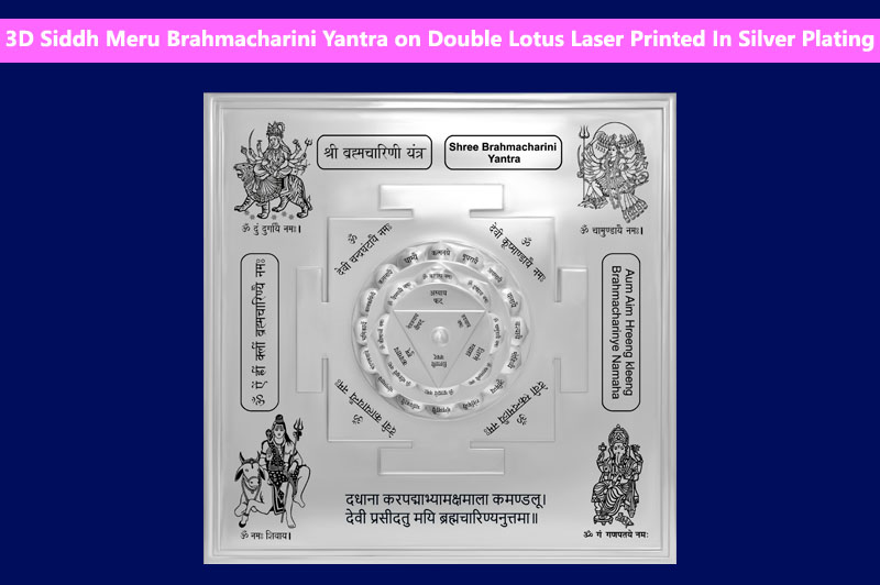 3D Siddh Meru Brahmacharini Yantra on Double Lotus Laser Printed In Silver Plating-YTDLBHC109-1