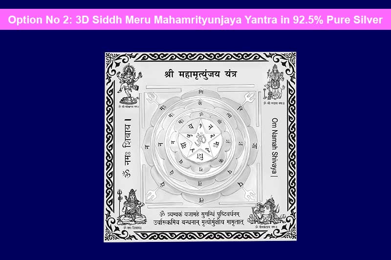 3D Siddh Meru Mahamrityunjaya Yantra on Double Lotus Laser Printed Base Plate & Gods Images In Silver Polish-YTDLMMY110-4