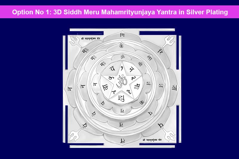 3D Siddh Meru Mahamrityunjaya Yantra on Double Lotus Laser Printed In Silver Polish-YTDLMMY111-1