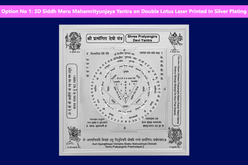 3D Siddh Meru Pratyangira Devi Yantra on Double Lotus Laser Printed In Silver Plating-YTDLPTD108-S-1