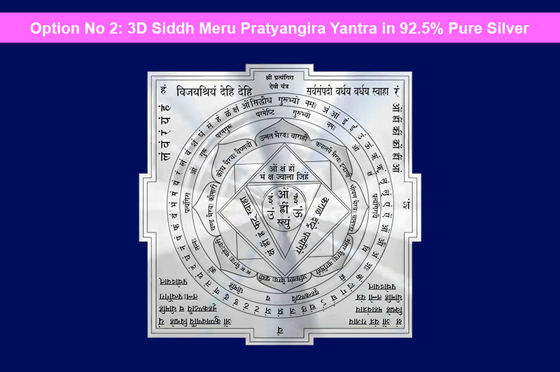 3D Siddh Meru Pratyangira Devi Yantra on Double Lotus Laser Printed In Silver Polish-YTDLPTD111-4