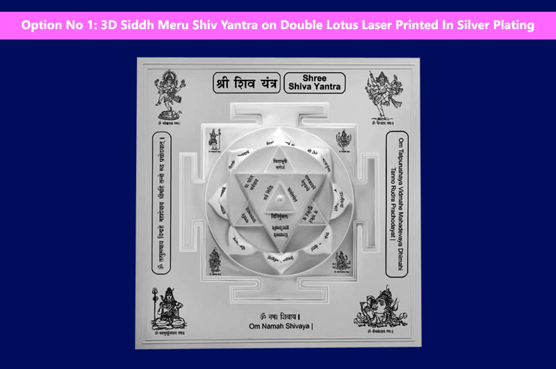 3D Siddh Meru Shiv Yantra on Double Lotus Laser Printed In Silver Plating-YTDLSIV108-S-2