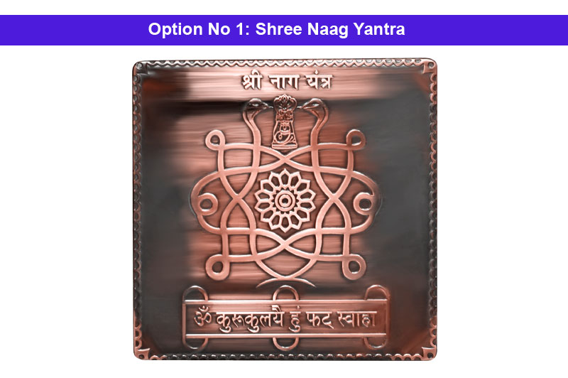 Shree Naag Yantra in Copper Antic-YTNAG1025-1