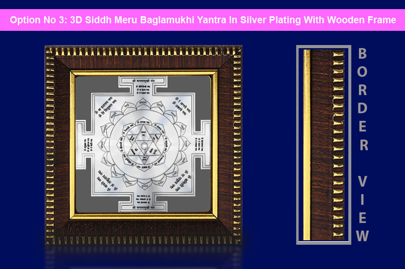 3D Siddh Meru Baglamukhi Yantra in Silver Plating With Laser Printed-YTSMBGM017-4