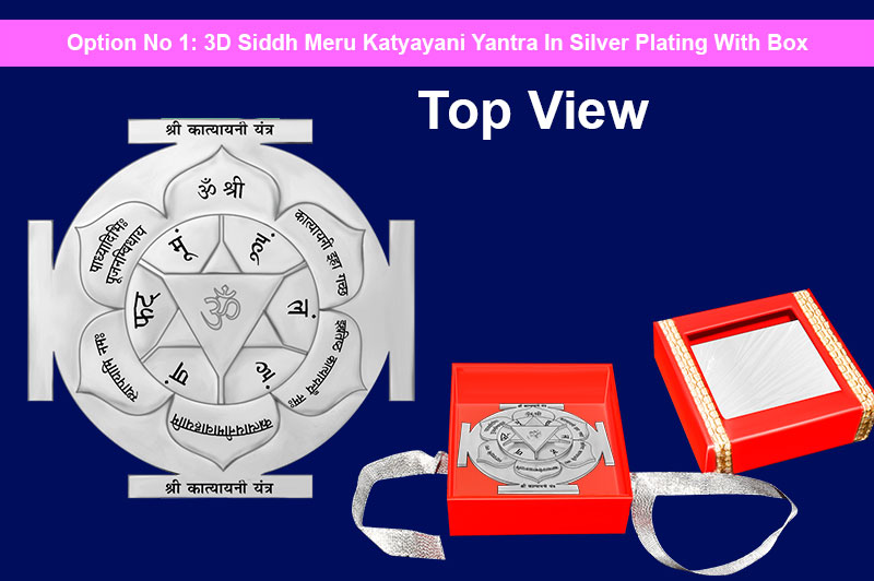 3D Siddh Meru Katyayani Yantra in Silver Plating With Laser Printed-YTSMKYY017-2