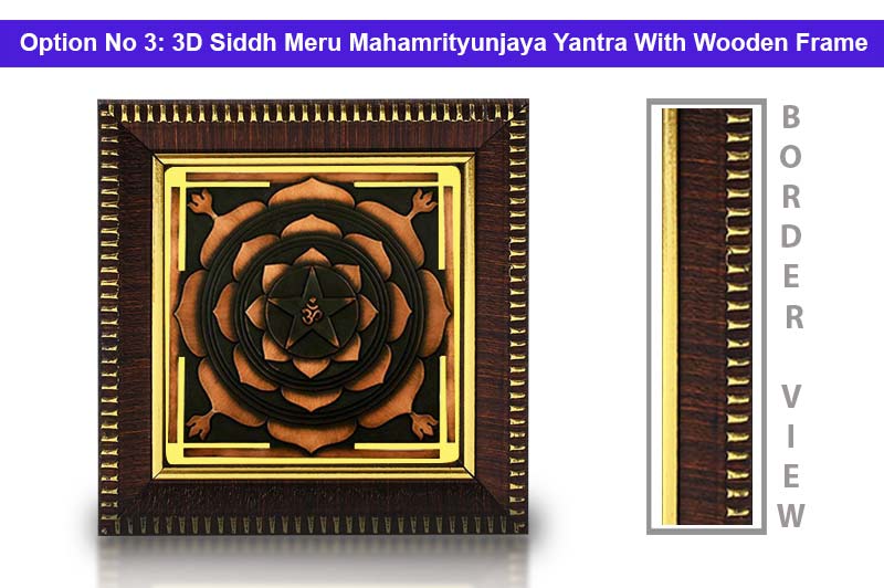 3D Siddh Meru Mahamrityunjaya Yantra in Pure Copper Antic-YTSMMMY003-4