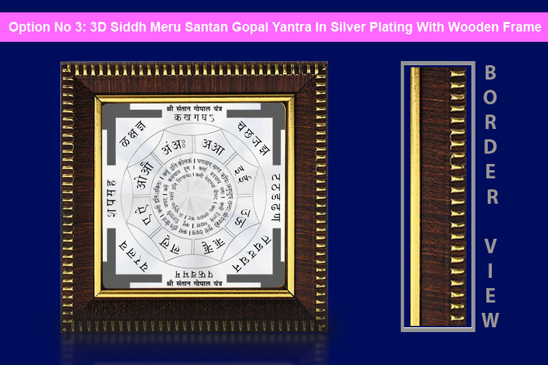 3D Siddh Meru Santan Gopal Yantra in Silver Plating With Laser Printed-YTSMSNG017-4