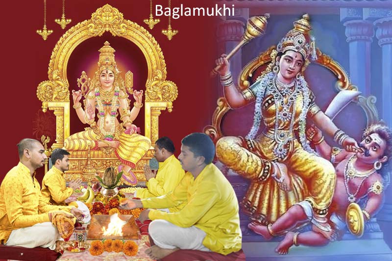       Bagalamukhi Puja and Yajna                  